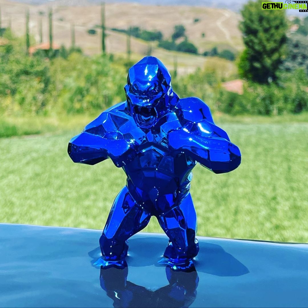 Scott Disick Instagram - The little Kong waiting for his big brother to arive @richardorlinski
