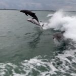 Scott Disick Instagram – I’m such a baby ‘cause the dolphins made me cry 🎵