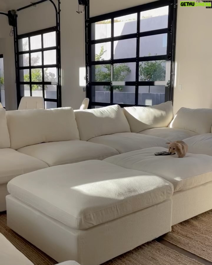 Scott Disick Instagram - Little dog loves her big sofa @7thavenueco