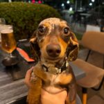 Sebastián Yatra Instagram - sigan a @mr.chokis