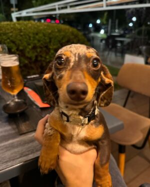 Sebastián Yatra Instagram - sigan a @mr.chokis