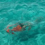 Sebastián Yatra Instagram - es normal el movimiento de mis pies en el último video? 🐡🦑 Ibiza