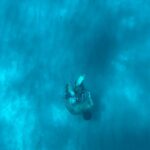 Sebastián Yatra Instagram - es normal el movimiento de mis pies en el último video? 🐡🦑 Ibiza