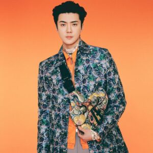 Sehun Instagram - @dior @MrKimJones #DiorMenFall
