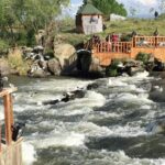Selçuk Aydemir Instagram - İnci Kefali ve engellere karşı dik duruşu... #van