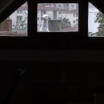 Selçuk Aydemir Instagram - Kapı çalıyor sanıp dışarı çıktım meğer karnı acıkmış istihkakını kovalıyormuş. Artık haraca bağladı her sabah aynı saatte çalıyor pencereyi. Duymazsam sinir yapıp asabileşiyor. Bunun bir de kardeşi var o daha asabi. @selkaredigital @selimcetintas @erdalsahin__