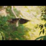 Selçuk Aydemir Instagram - 13 Ekim…