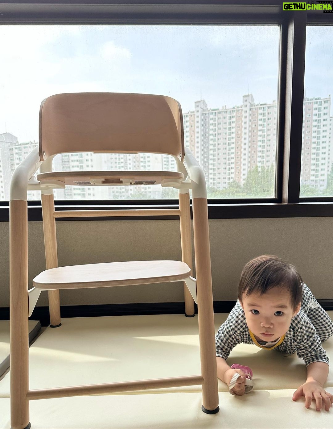 Seo Hwa-yi Instagram - ⠀⠀⠀⠀⠀⠀⠀⠀⠀⠀⠀⠀⠀⠀ 부가부에서 👶🏻아기의자가 나왔다구요??? 더이상 말 안할게요 그냥 #1등 왜 이제야 나왔죠???(진심)🪑 ✅공구없이1초만에 시트, 발높낮이 조절가능 ✅디자인은 말해뭐해요 이미 2023레드닷 / IF디자인어워드 골드 수상🏆 ✅가벼운무게 (하지만 밀리지 않아요!이게 신기!) ✅친환경 하이체어 아이의 미래까지 생각한! ✅신생아부터 100kg어른까지 평생쓰는 의자! 더이상 말이 필요없어요 유모차 1등 ? 이제 아기의자도 1등 가봅니다! 저 사진찍고 올릴 의무없구 방송만하면 되는데 홍보하는 이유는 진심으로 👶🏻아기키우는 엄마들 너무 좋으니까 한번 봐보시길 바래서에요! ㅡㅡㅡㅡㅡㅡㅡㅡㅡㅡㅡㅡㅡㅡㅡㅡㅡㅡㅡㅡㅡㅡㅡㅡㅡㅡㅡㅡㅡㅡㅡㅡ ⭐️잠시 후 11시 환상짝궁 이제는 별이아빠! @colossus188 오라버니랑 @0ssung0 PD님과 그리고 @thecnm_livecommerce 과 함께 우리나라 최초 런칭쇼 시작합니다! 📸사진은 #사진맛집 우리집 💛(새벽에 골드 재우고 찍어준 여보 항상 진짜 고마워ㅠㅠ) 방송 끝나고 유투브에 #부가부지라프 #우리나라최초 리뷰 올렸어요! 보러가세요🪑 #부가부지라프 #bugaboogiraffe 🪑