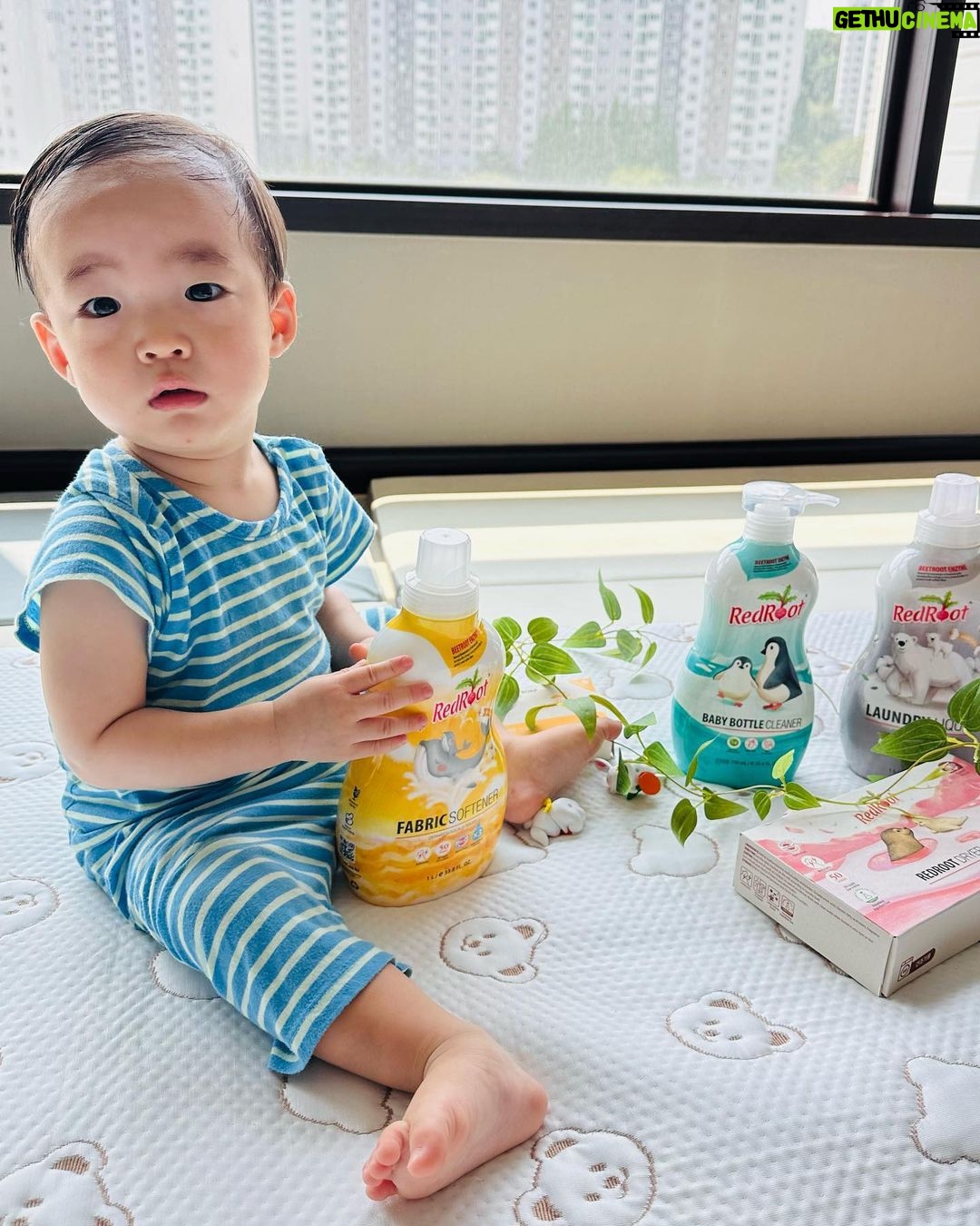 Seo Hwa-yi Instagram - ⠀⠀⠀⠀⠀⠀⠀⠀⠀⠀⠀⠀ 🌿아기세제 1등 브랜드 #레드루트 방송합니다!! 제가 사랑하는 스승님이자 선배님 이랑 찰떡궁합💖 재미있는 방송 할게요! #유아동방송 은 항상 각 분야에서 #1등브랜드 들이랑 함께해서 너무너무 감사합니다 🙏🏻 근데 써보니 1등인 이유가 있더라구요?? 🌿 저는 제가 실제로 쓰고있는 제품 위주로 방송해요! 쓰고 있어서 방송하게된 브랜드가 대부분이구요! 그니까 믿고 쓰셔도 되요👍🏻 우리 소중하고 여린 👶🏻아가가 쓸건데 암거나 쓸수 없죠?? 근데요,,, 제가 더 조아해요,, 성분도 좋은데 향이 정말 미쳤거든요!!💖 (참고로 무향도 있어요!) 물량이 없어서 자주 못하지만 , 이김에 세제 , 섬유유연제까지 싹 저도 바꿨어요🌿 10:30 ! #링크는스토리에 걸어둘게요!🍼 📸영상이랑 사진은 귀염둥이 골드👶🏻 항상 고마워 골드야💛엄마 힘내서 열심히 할게!