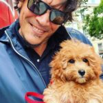 Sergio Peris-Mencheta Instagram - Una nueva incorporación a la familia Solaz-Mencheta: os presento a SENDA. SENDA ha llegado en el momento justo. Con un cambio de ciclo. Nuevos horizontes a la vista. Y sobre todo, nuevos SENDEROS a explorar para dirigirse a ellos. #australiancobberdog @dogking_australian_cobberdog Royal Palace of Madrid