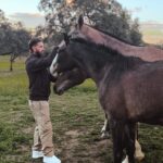 Sergio Ramos Instagram - Una visita por El Rubio ✨💫 A visit to El Rubio ✨💫🐴 #YeguadaSR4 #SR4Horses