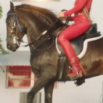 Shakira Instagram - EL JEFE 😈🤠🐴 MAÑANA 8PM EST @fuerzaregida