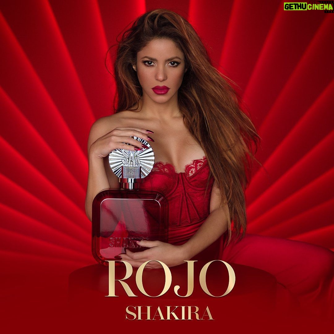 Shakira Instagram - Holiday season! es el momento de celebrar a lo grande. Descubre el poder de la pasión y la autenticidad que se encuentra dentro de ROJO: el nuevo Eau de Parfum de Shakira Perfumes. ❤️💫🎄⭐️ ¿Te gustaría recibirla estas fiestas? Holiday season! And it’s time to celebrate in a big way. Discover the power of passion and authenticity found within ROJO: the new Eau de Parfum from Shakira Perfumes. ❤️💫🎄⭐️ Would you like to receive it these holidays? #ROJOShakiraPerfumes #ShakiraPerfumes #FraganciaROJO #Rojo #Shakira