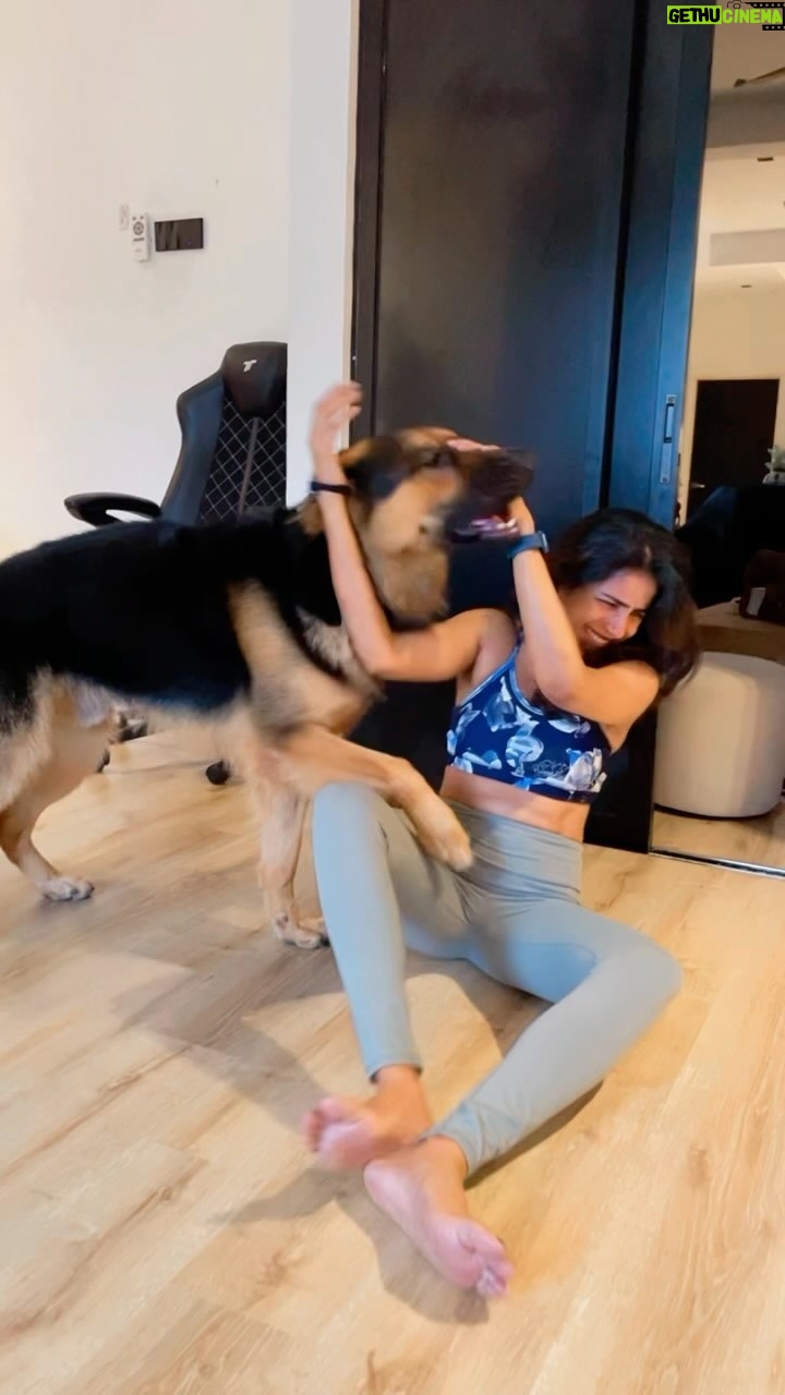 Shalini Balasundaram Instagram - Can never get enough of him @pluto_germanshepherd my all time lifeline #shalinibalasundaram #doglover #dogsofinstagram #germanshepherd Kuala Lumpur, Malaysia