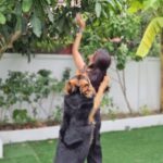 Shalini Balasundaram Instagram - My husband is trying to prove that he is tall. Have you girl’s experienced this? Ps that’s the mango from our own tree #shalinibalasundaram #spreadlove #dogsofinstagram #couplesgoals Selangor