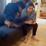 Shalini Balasundaram Instagram - Unconditional love from this little boy while I am spending time on my phone. Love you so much Pluto #shalinibalasundaram #spreadlove #germanshepherd #dogsofinstagram Selangor