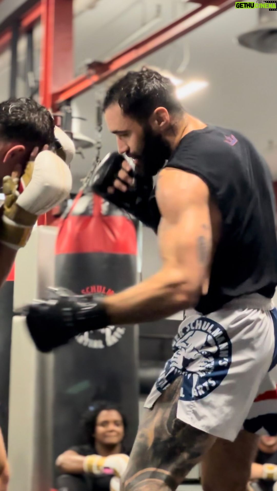 Shane Burgos Instagram - Train with intent. #Tigear . . . #shaneburgos #hurricane #hurricaneshane #pfl #mma #mmafighter #profighter #promma #fighter #fight #kickboxing #training #jiujitsu #wrestling