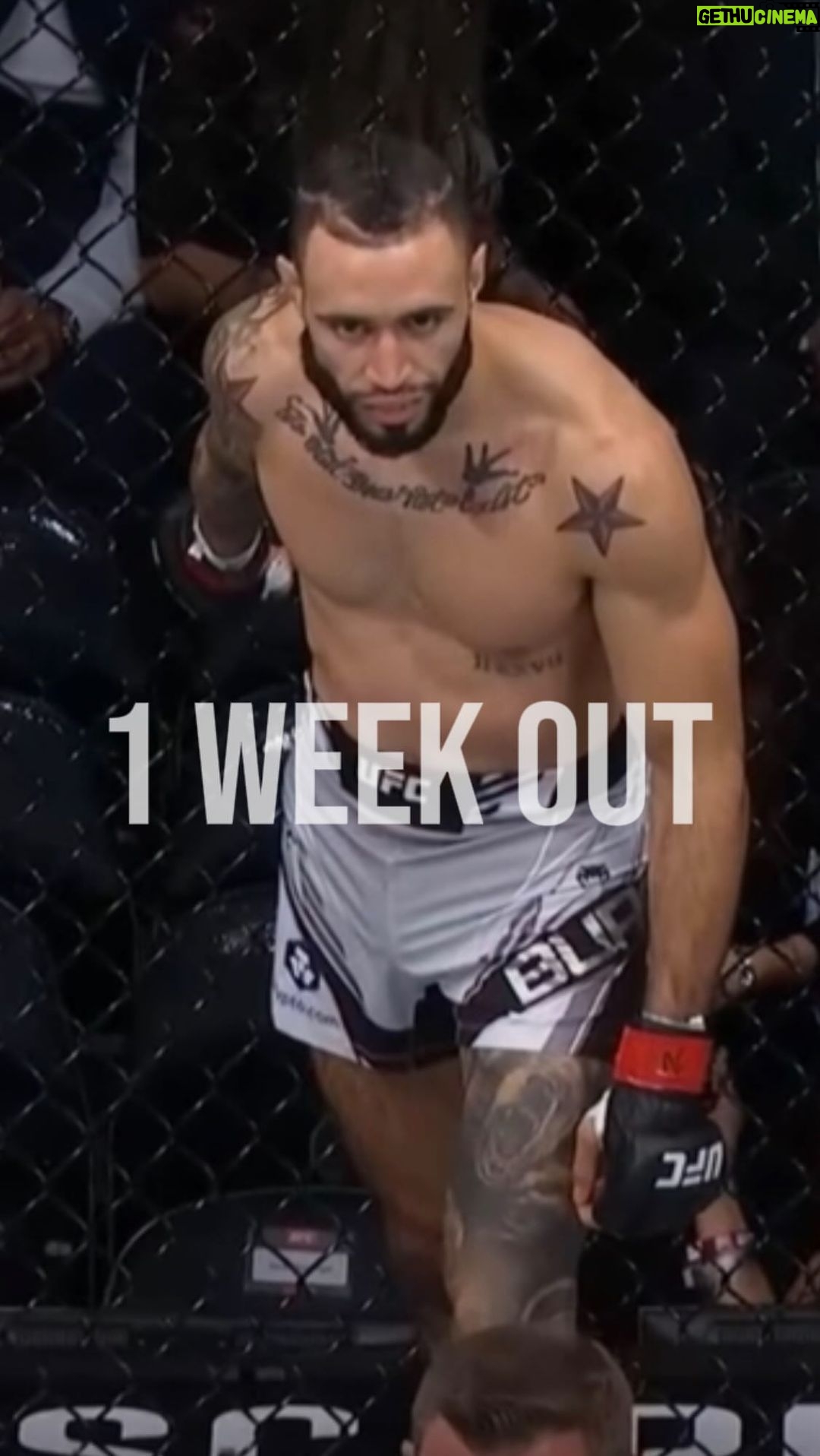 Shane Burgos Instagram - 1 WEEK OUT ⚔️ Shihan Ron Schulmann talks about Shane’s determination to show his greatness and be the best. And we get to see it again in 1 WEEK in the Hulu Theatre at Madison Square Garden! Make sure to show your support! 🌪️ #TEAMHURRICANESHANE • • #pflmma #pfl #shaneburgos #hurricaneshane #motivational #motivation #profight #profights #profighter #profighters #tigerschulmanns #martialarts #martialart #martialartist #martialartists #mma #mmafight #mmafighter #mmafighters #mmafights #mmafight #mmafighting #workhard #noexcuses