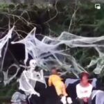 Shaquille O'Neal Instagram - come on now