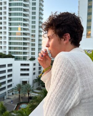 Shawn Mendes Instagram - 