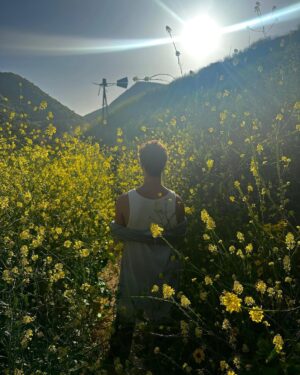 Shawn Mendes Instagram - Honestly sometimes when i’m having bad anxiety doing things like Meditation, journaling & breath work feels really hard to do. 

Sometimes i just need REST & go into nature for a little bit.

i’ve found my spots around town that i can escape to for an hour or so when things feel intense & it’s really changed my life. 

Nature kinda effortlessly heals us 💙🌳🌿 

i hope you’re doing okay #mentalhealthmonth