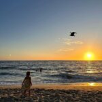 Shay Mitchell Instagram – The seagull was a paid actor