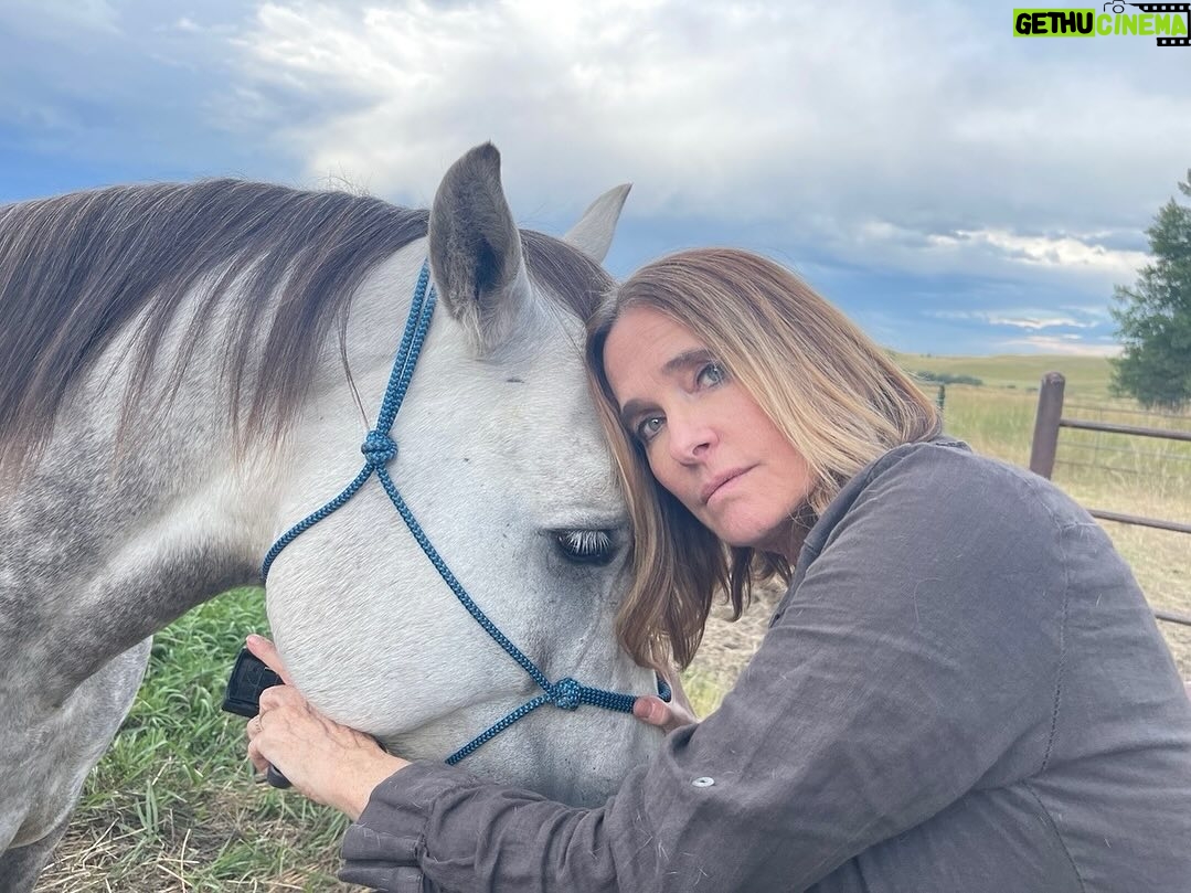 Sheila Kelley Instagram - Him. There’s a certain kind of love that comes with caring for animals. Unless you’ve given your heart over to a creature you probably won’t know what I mean. But trust me loving an animal is one of the purest loves you can find. I dare you to hug the closest creature to you right now. 🐴❤️