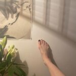 Shelby Flannery Instagram – i look at my limbs to feel real