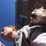 Shelby Flannery Instagram - My # 1 said goodbye to the world in her sleep last night. Foxy you were the real thing my girl. You were tender and you were cool, always looking like you knew something we didn’t, with deep wells of peace in your big bugged eyes. You bad beautiful thing. You sweet creature and steadfast friend. My god you added so much to my life. Foxy Cleopatra. Time to stretch those old bones. You did so well. Find a beach somewhere and go crazy baby girl. Legends never die.