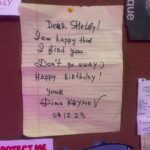 Shelby Flannery Instagram - Getting older is the best thing I’ve ever done
