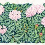 Shingo Tamagawa Instagram - "PUPARIA" Background art 背景美術です。 #puparia
