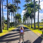Shirley Lamy Instagram – Bonjour de Guadeloupe ! 🌴☀️
#guadeloupe #travel #capesterrebelleeau #basseterre #gwada