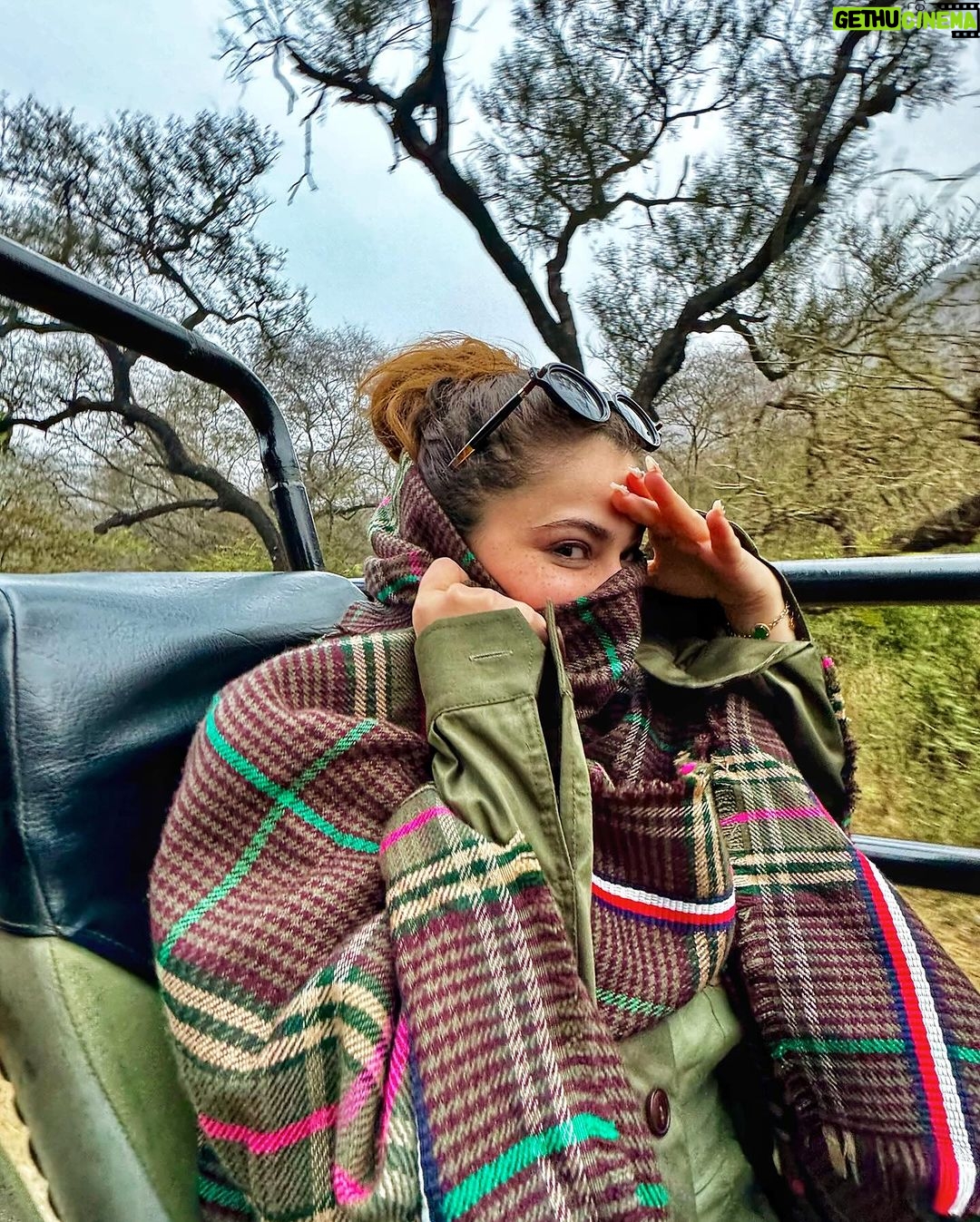 Shivaleeka Oberoi Instagram - Brrrr 🥶 Instagram vs reality! 👻 Keeping it real, accepting realities & giving reality checks this year! 😌✨ Ranthambore Tiger Reserve