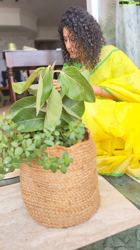 Shraddha Musale Instagram - Vatt poornima, a festival in Maharashtra. Missed celebrating it yesterday, so did it today #festivalsofindia #traditions #yellowsaree #vattpoornima Thanks @sidhuratan for the cute edit🥰