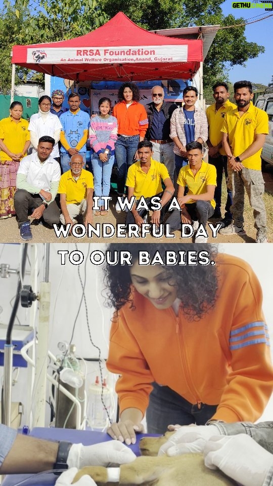 Shraddha Musale Instagram - It was our privilege to welcome @shraddhamusale an animal lover and actress at our Animal Shelter, her father @ravi.d.musale also spared his precious time to bless mute animals at Shelter, that's wonderful. Our animals were so happy to meet a kind human like you. Your appreciation to our staff people was a big motivation to us to keep on doing the good work. #shraddhamusale #actress #animalshelter #animals #veterinary #veterinaria #news RRSAINDIA-'Rescue and Rehabilitation of Stray Animals'