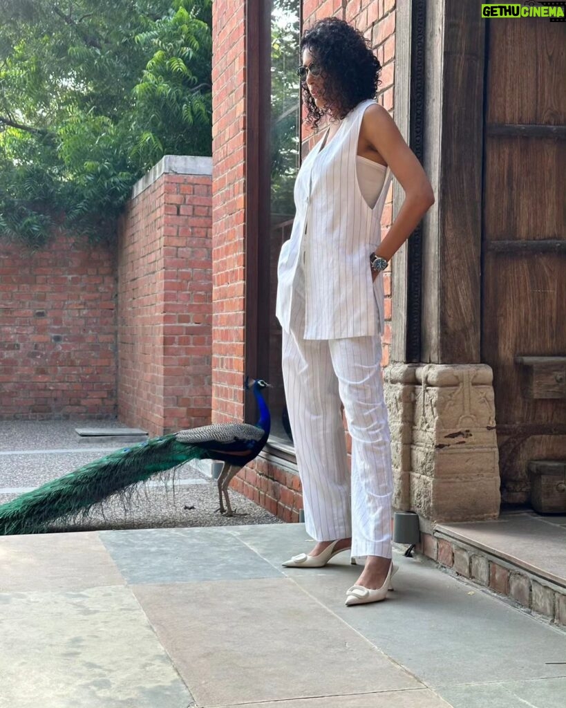 Shraddha Musale Instagram - I was so happy to see peacocks, woh bhi itane paas se, and they come every morning and evening. Imagine getting an experience like this, in a restaurant, I mean 3 restaurants under one. Kehte hain naa, bilkul tabiyat se banaya hai😎 @undertheneemtrees #ahmedabadrestaurant #indianfood #globalcuisine @neemcounty @neemchowk @neem_dream Under the Neem Trees
