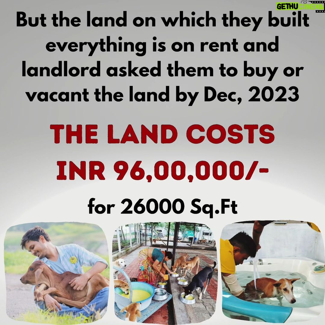 Shraddha Musale Instagram - π This is very urgent! The land on which they built an animal hospital and shelter in 2016 is on rent, the hospital is equipped with facilities like X-ray, USG, Blood Lab, OT, Admission wards, 2 ambulances and qualified staff of 18 people. The landlord has asked them to vacant or buy the land by Dec 2023. Yearly 4000+ sick or injured animals take treatment and care here,all the admitted animals would become homeless again if this hospital gets shutdown. It's everyone's moral responsibility to push a good cause ahead.πππ Please do your bit, please donate at least 400/- to buy the land on which they have already built a hospital and shelter. Please donate: Gpay: 9913355932 Gpay/Paytm/ PhonePe: 9724000939 UPI 9913355932@okbizaxis rrsafoundation-2@oksbi rrsafoundation1100@okicici BANK ACCOUNT DETAILS AC Name : RRSA Foundation AC No : 99909724000939 IFSC : HDFC0001244 HDFC Bank, 1244 Branch Code Current Account OR Account Name : RRSA Foundation Account Number : 9811987555 IFSC Code : KKBK0000845 Account type: Current Account Kotak Mahindra Bank,Anand Direct Donation Links are on their Instagram Bio ( @rrsaindia ) Documents for verification also available on the Website: www.rrsaindia.org. #shraddhamusale #shraddha #tv #tvseries #tvshow #actress RRSAINDIA-'Rescue and Rehabilitation of Stray Animals'
