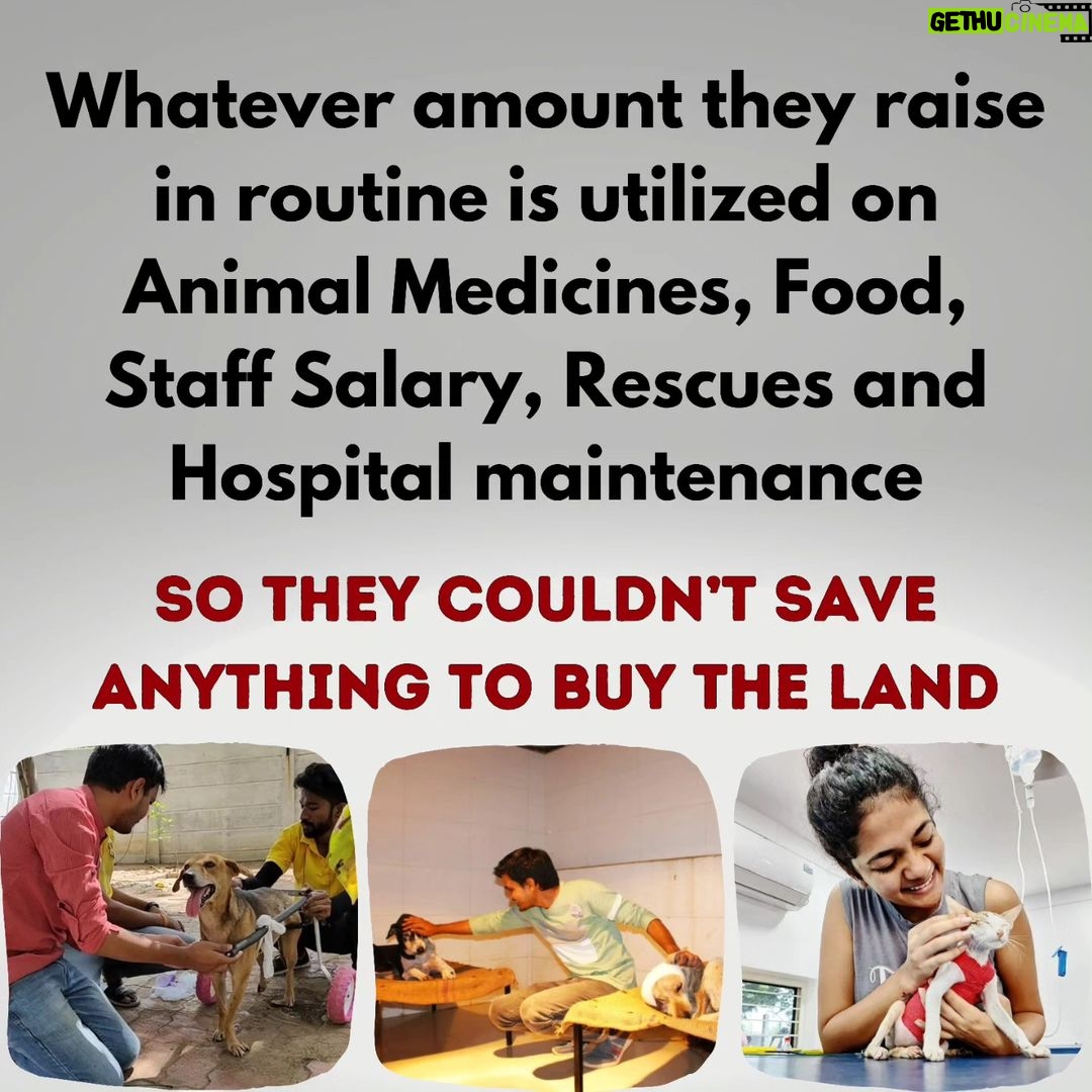 Shraddha Musale Instagram - π This is very urgent! The land on which they built an animal hospital and shelter in 2016 is on rent, the hospital is equipped with facilities like X-ray, USG, Blood Lab, OT, Admission wards, 2 ambulances and qualified staff of 18 people. The landlord has asked them to vacant or buy the land by Dec 2023. Yearly 4000+ sick or injured animals take treatment and care here,all the admitted animals would become homeless again if this hospital gets shutdown. It's everyone's moral responsibility to push a good cause ahead.πππ Please do your bit, please donate at least 400/- to buy the land on which they have already built a hospital and shelter. Please donate: Gpay: 9913355932 Gpay/Paytm/ PhonePe: 9724000939 UPI 9913355932@okbizaxis rrsafoundation-2@oksbi rrsafoundation1100@okicici BANK ACCOUNT DETAILS AC Name : RRSA Foundation AC No : 99909724000939 IFSC : HDFC0001244 HDFC Bank, 1244 Branch Code Current Account OR Account Name : RRSA Foundation Account Number : 9811987555 IFSC Code : KKBK0000845 Account type: Current Account Kotak Mahindra Bank,Anand Direct Donation Links are on their Instagram Bio ( @rrsaindia ) Documents for verification also available on the Website: www.rrsaindia.org. #shraddhamusale #shraddha #tv #tvseries #tvshow #actress RRSAINDIA-'Rescue and Rehabilitation of Stray Animals'