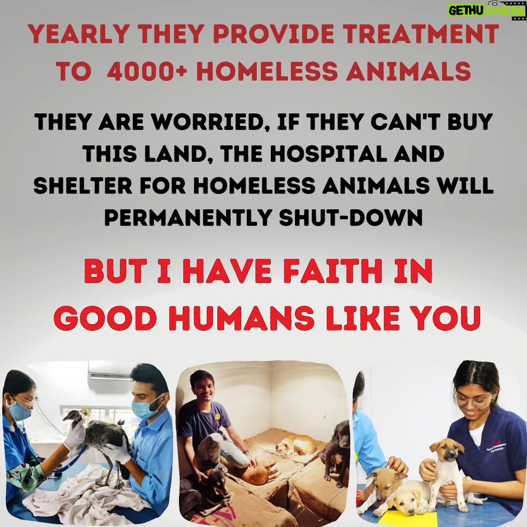 Shraddha Musale Instagram - π This is very urgent! The land on which they built an animal hospital and shelter in 2016 is on rent, the hospital is equipped with facilities like X-ray, USG, Blood Lab, OT, Admission wards, 2 ambulances and qualified staff of 18 people. The landlord has asked them to vacant or buy the land by Dec 2023. Yearly 4000+ sick or injured animals take treatment and care here,all the admitted animals would become homeless again if this hospital gets shutdown. It's everyone's moral responsibility to push a good cause ahead.πππ Please do your bit, please donate at least 400/- to buy the land on which they have already built a hospital and shelter. Please donate: Gpay: 9913355932 Gpay/Paytm/ PhonePe: 9724000939 UPI 9913355932@okbizaxis rrsafoundation-2@oksbi rrsafoundation1100@okicici BANK ACCOUNT DETAILS AC Name : RRSA Foundation AC No : 99909724000939 IFSC : HDFC0001244 HDFC Bank, 1244 Branch Code Current Account OR Account Name : RRSA Foundation Account Number : 9811987555 IFSC Code : KKBK0000845 Account type: Current Account Kotak Mahindra Bank,Anand Direct Donation Links are on their Instagram Bio ( @rrsaindia ) Documents for verification also available on the Website: www.rrsaindia.org. #shraddhamusale #shraddha #tv #tvseries #tvshow #actress RRSAINDIA-'Rescue and Rehabilitation of Stray Animals'