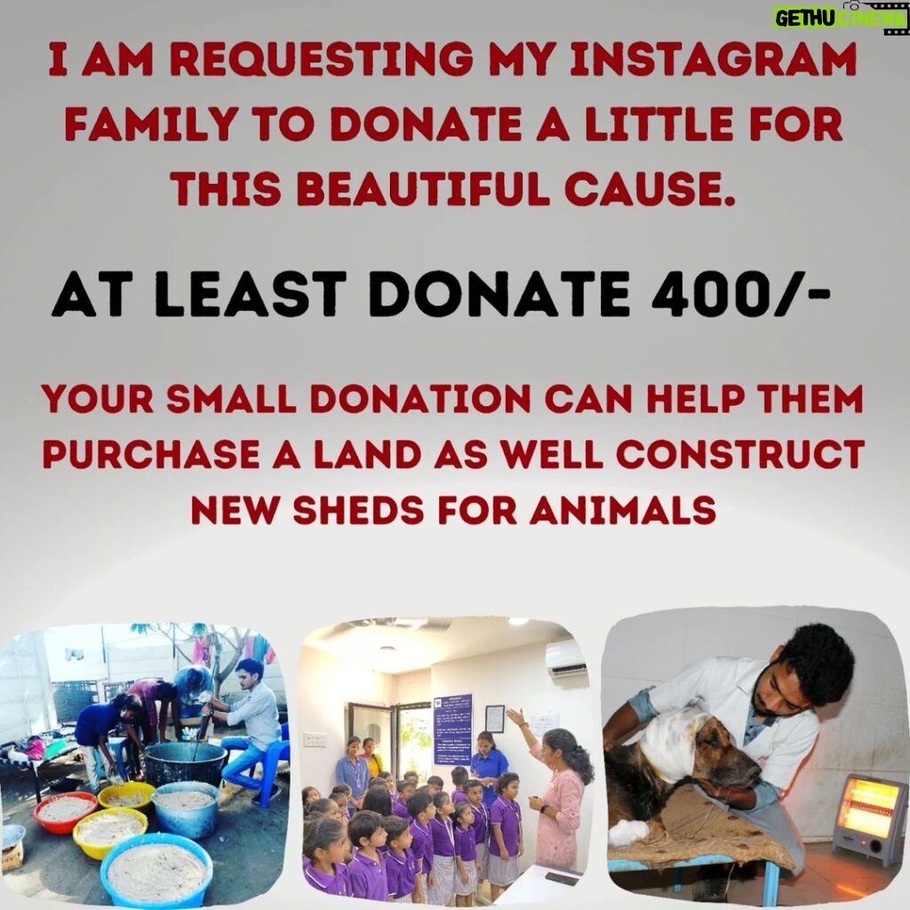 Shraddha Musale Instagram - 🆘 This is very urgent! The land on which they built an animal hospital and shelter in 2016 is on rent, the hospital is equipped with facilities like X-ray, USG, Blood Lab, OT, Admission wards, 2 ambulances and qualified staff of 18 people. The landlord has asked them to vacant or buy the land by Dec 2023. Yearly 4000+ sick or injured animals take treatment and care here,all the admitted animals would become homeless again if this hospital gets shutdown. It's everyone's moral responsibility to push a good cause ahead.🙏🙏🙏 Please do your bit, please donate at least 400/- to buy the land on which they have already built a hospital and shelter. Please donate: Gpay: 9913355932 Gpay/Paytm/ PhonePe: 9724000939 UPI 9913355932@okbizaxis rrsafoundation-2@oksbi rrsafoundation1100@okicici BANK ACCOUNT DETAILS AC Name : RRSA Foundation AC No : 99909724000939 IFSC : HDFC0001244 HDFC Bank, 1244 Branch Code Current Account OR Account Name : RRSA Foundation Account Number : 9811987555 IFSC Code : KKBK0000845 Account type: Current Account Kotak Mahindra Bank,Anand Direct Donation Links are on their Instagram Bio ( @rrsaindia ) Documents for verification also available on the Website: www.rrsaindia.org. #shraddhamusale #shraddha #tv #tvseries #tvshow #actress RRSAINDIA-'Rescue and Rehabilitation of Stray Animals'