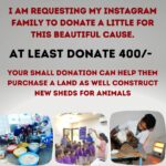 Shraddha Musale Instagram – 🆘 This is very urgent! The land on which they built an animal hospital and shelter in 2016 is on rent, the hospital is equipped with facilities like X-ray, USG, Blood Lab, OT, Admission wards, 2 ambulances and qualified staff of 18 people. The landlord has asked them to vacant or buy the land by Dec 2023. Yearly 4000+ sick or injured animals take treatment and care here,all the admitted animals would become homeless again if this hospital gets shutdown.

It’s everyone’s moral responsibility to push a good cause ahead.🙏🙏🙏

Please do your bit, please donate at least 400/- to buy the land on which they have already built a hospital and shelter.

Please donate:

Gpay: 9913355932
Gpay/Paytm/ PhonePe: 9724000939

UPI
9913355932@okbizaxis
rrsafoundation-2@oksbi
rrsafoundation1100@okicici

BANK ACCOUNT DETAILS
AC Name : RRSA Foundation 
AC No : 99909724000939
IFSC : HDFC0001244
HDFC Bank, 1244 Branch Code
Current Account 

OR

Account Name : RRSA Foundation
Account Number : 9811987555
IFSC Code : KKBK0000845
Account type: Current Account
Kotak Mahindra Bank,Anand

Direct Donation Links are on their Instagram Bio ( @rrsaindia ) 
Documents for verification also available on the Website: www.rrsaindia.org.

#shraddhamusale #shraddha #tv #tvseries #tvshow #actress RRSAINDIA-‘Rescue and Rehabilitation of Stray Animals’
