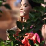 Shruthi Prakash Instagram - Sun kissed in saree elegance, letting the light in and the good vibes flow ❤️ PC @surajganachari (my lovely brother )😘 #shrutiprakash #somethingishappening #excited #happy #happytears #saree #pretty