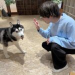 Shuichiro Naito Instagram - 27歳になったみたいです。 27歳はもっと人間味がある投稿を皆さんに見せられるように努力しますね。 毎年言ってる気がするするけど、 頑張り続けるのでみなさんこれからもよろしくお願いします！ 誕生日っぽい写真もケーキもないのでかんわいい犬ちゃんたちの動画でお許しを☺︎