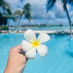 Sidhika Sharma Instagram - 🫶🌸🌼🦋😊💥 Ayada Maldives