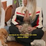 Sill Esteves Instagram - Conheça a verdadeira história da minha família! Quem pegou quem? Quem é o papai? Cadê @oratinho pra fazer o teste de DNA? Hahahahaha Brincadeiras à parte, foi incrível participar do #desafiopet na @bandtv no @melhordanoitenaband !! E esse foi o comecinho da matéria onde estávamos explicando a árvore genealógica dos dogs para seguirmos buscando o melhor bem estar dos dogs. Squantchy, Bruce, Bellinha e Rachel se comportaram muito bem durante as gravações 🤍🤍🤍 tão lindos! Na matéria falei um pouco sobre a importância do quarteto ir à @rajcaocreche toda semana, e pela sugestão da @manukarsten estamos aumentando a frequência deles de 2x na semana para 3x na semana 🤍🤍(tô compartilhando tudo no history) SiLL Esteves veste @rosaraquelmodas Hairstylist: @davidfelthairstylist Make: @makebynath_ Squantchy, Bruce, Bellinha e Rachel “Pelostilyst”: @pegpetbrasil Aliás eu amei a hidratação que o quarteto fez, o pêlo deles está macio e cheiroso até hoje 🤍 REPONDE AQUI PRA MIM: E aí? Quem você acha que é o pai da Rachel? #dog #pet #tv #sillesteves