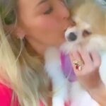 Sill Esteves Instagram - Um dia com a Rachel na “rua”. Hoje eu e Rachel tivemos um dia perfeito! Eu sempre compartilho tudo nos estories, mas hoje resolvi postar aqui também 🤍 Vc acompanha meu history? Começamos o dia indo no @centroteampet pra fisioterapia semanal (ela vai 2 vezes na semana), desde que operou a patinha e a recuperação está indo super bem! Gratidão imensa à Dra. Daniele que cuida dela com tanto amos! Depois fomos no @shoppingibirapuera que, na minha opinião, é um dos melhores shoppings pra ir com seu pet, lá tem até uma praça de alimentação exclusiva para vc ir com seu pet. Além de ter muitas opções em compras e serviços para nos tutores e “seres humanos” em geral kkk (tem live no meu Facebook com minhas comprinhas). Foi um dia super divertido e produtivo, onde pude unir minhas necessidades do dia, e ter a cia da Rachel. E quando chegamos em casa encontramos toda família pet que estava nos aguardando em casa: Squantchy, Bruce e Bellinha (acompanhe tudoooo no history). Eu vou passar a compartilhar mais aqui no reels o dia a dia dos meus pets que tanto amo! Ah! A coleira linda da Rachel é da @zee_dog que eu comprei na @pegpetbrasil petshop que eu sou super fã e tem vários conteúdos aqui que gravei lá, inclusive tem vários encontrinhos de dogs que eu sempre compartilho nos estories também! Gostaram do nosso dia? #pet #amor #amorproprio #dialindo