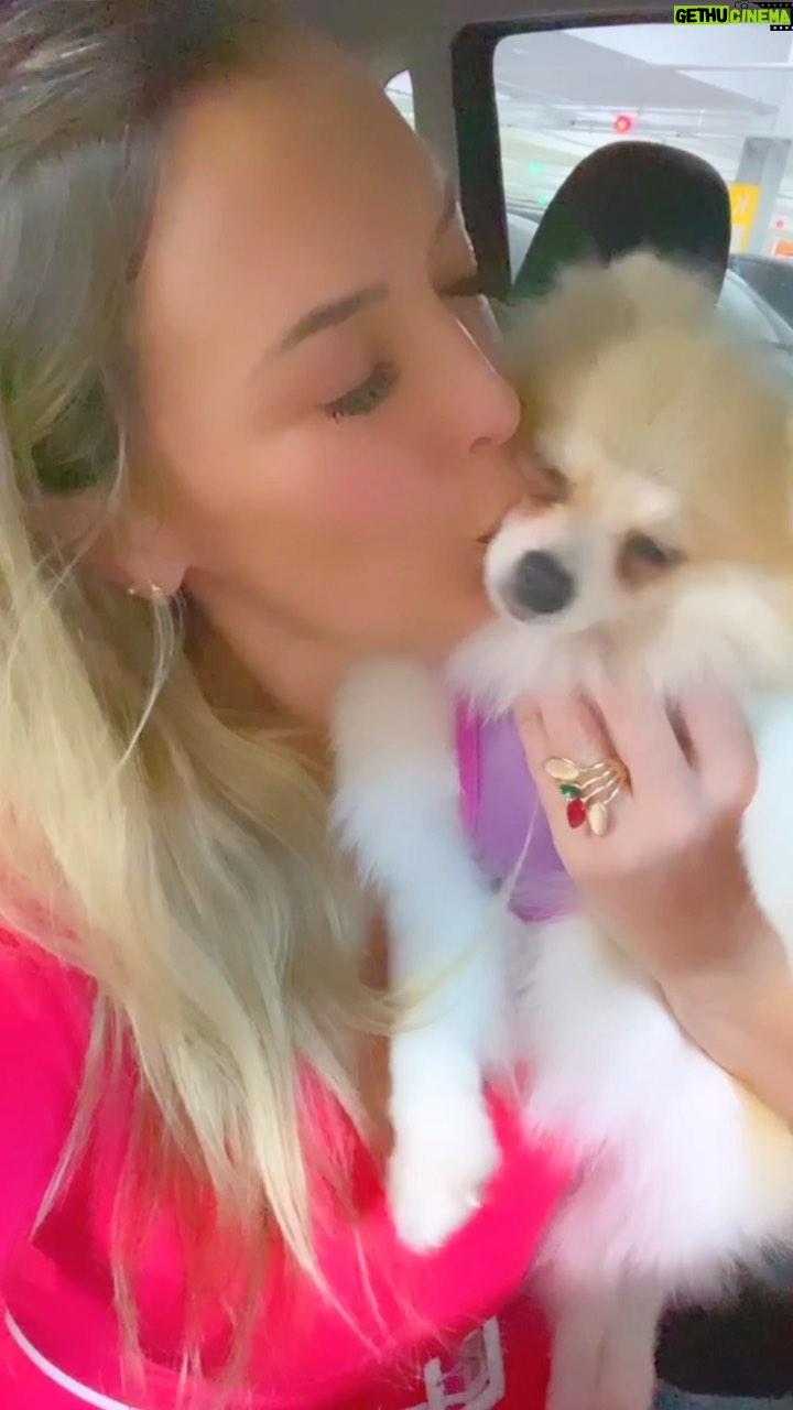 Sill Esteves Instagram - Um dia com a Rachel na “rua”. Hoje eu e Rachel tivemos um dia perfeito! Eu sempre compartilho tudo nos estories, mas hoje resolvi postar aqui também 🤍 Vc acompanha meu history? Começamos o dia indo no @centroteampet pra fisioterapia semanal (ela vai 2 vezes na semana), desde que operou a patinha e a recuperação está indo super bem! Gratidão imensa à Dra. Daniele que cuida dela com tanto amos! Depois fomos no @shoppingibirapuera que, na minha opinião, é um dos melhores shoppings pra ir com seu pet, lá tem até uma praça de alimentação exclusiva para vc ir com seu pet. Além de ter muitas opções em compras e serviços para nos tutores e “seres humanos” em geral kkk (tem live no meu Facebook com minhas comprinhas). Foi um dia super divertido e produtivo, onde pude unir minhas necessidades do dia, e ter a cia da Rachel. E quando chegamos em casa encontramos toda família pet que estava nos aguardando em casa: Squantchy, Bruce e Bellinha (acompanhe tudoooo no history). Eu vou passar a compartilhar mais aqui no reels o dia a dia dos meus pets que tanto amo! Ah! A coleira linda da Rachel é da @zee_dog que eu comprei na @pegpetbrasil petshop que eu sou super fã e tem vários conteúdos aqui que gravei lá, inclusive tem vários encontrinhos de dogs que eu sempre compartilho nos estories também! Gostaram do nosso dia? #pet #amor #amorproprio #dialindo