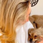 Sill Esteves Instagram - Bom diaaaa! Como tá as entregas aí pra você? O algoritmo tá de bem com vc? #sillesteves #humor #comédia #dog São Paulo, Brazil