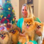 Sill Esteves Instagram - Feliiiiz Nataaaaal!! Espero que papai Noel tenha passado aí na sua casa, é que seu dia tenha sido lindo! Como você merece! Hohoho Um beijo enorme da minha família pra você! Eu fiz live de natal com o Squantchy, Bruce, Bellinha e Rachel 🤍 Eles amaram os presentes da @pegpetbrasil 🤍 Assista a live (link nos meus stories) #sillesteves #natal #pet São Paulo, Brazil