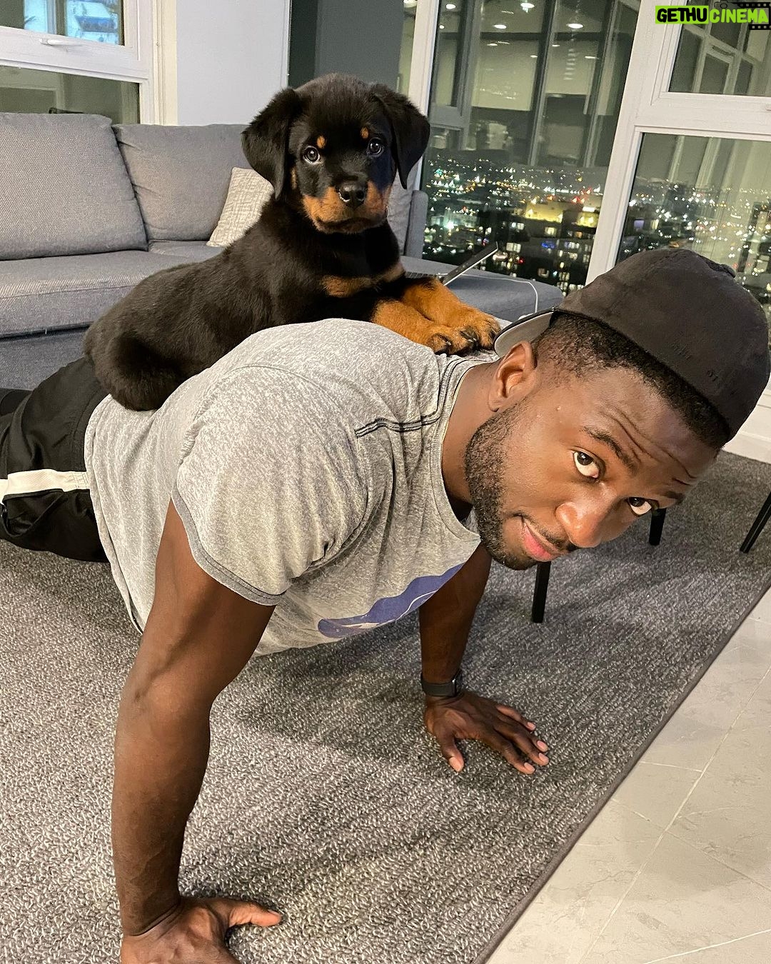 Sinqua Walls - 22.8K Likes - Puppy Loveđ!! Yung NINO â¨
